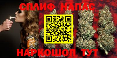 a pvp Краснодар