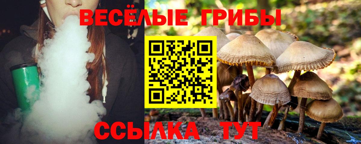 Псилоцибиновые грибы Psilocybe  Вход с VPN  Донской 